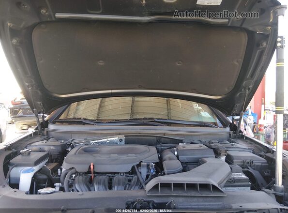5NPE34AF0KH731069 2019 HYUNDAI SONATA Black Вид ззаду