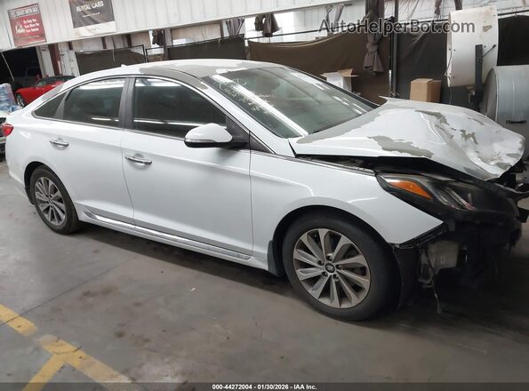 5NPE34AF2GH398459 2016 HYUNDAI SONATA White Widok wnętrza z tyłu