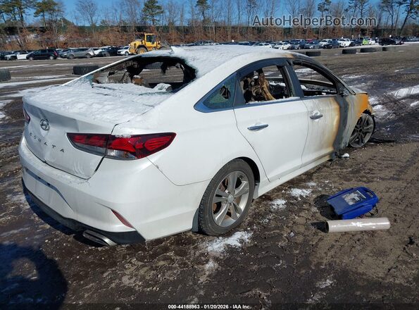 5NPE34AF6KH807393 2019 HYUNDAI SONATA White უკანა მარჯვენა