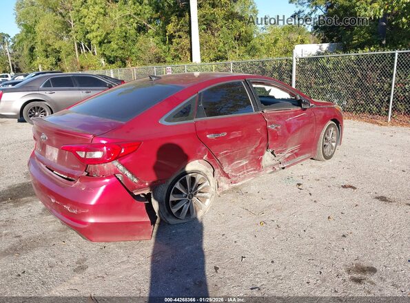 5NPE34AF8GH269934 2016 HYUNDAI SONATA Красный Задняя правая четверть