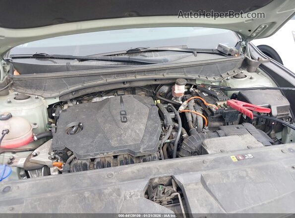 5NTJADAE8NH014209 2022 HYUNDAI SANTA CRUZ Green Widok z tyłu