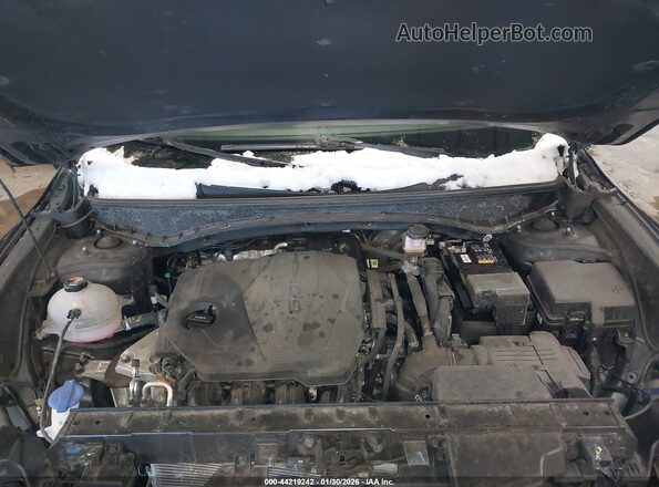 5NTJCDAE1RH099040 2024 HYUNDAI SANTA CRUZ Black უკანა ხედი