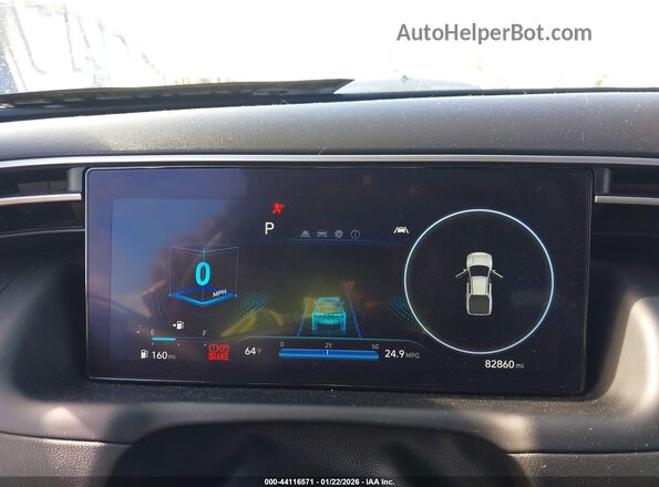 5NTJCDAE4PH075814 2023 HYUNDAI SANTA CRUZ Blue Вид задніх сидінь