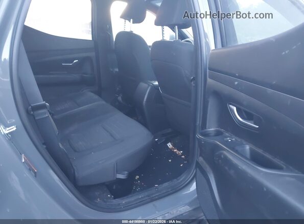5NTJCDAF4PH050503 2023 HYUNDAI SANTA CRUZ Green Vista de la etiqueta del VIN