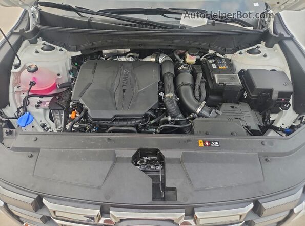5NTJEDDFXTH159497 2026 HYUNDAI SANTA Белый Вид задней части салона
