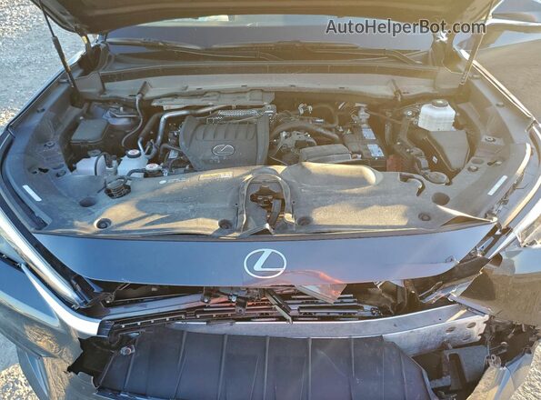 5TDAAAB60SS022847 2025 LEXUS TX Charcoal Vista del compartimento del motor