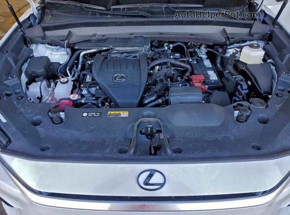 5TDAAAB65SS035576 2025 LEXUS TX White Vista del compartimento del motor