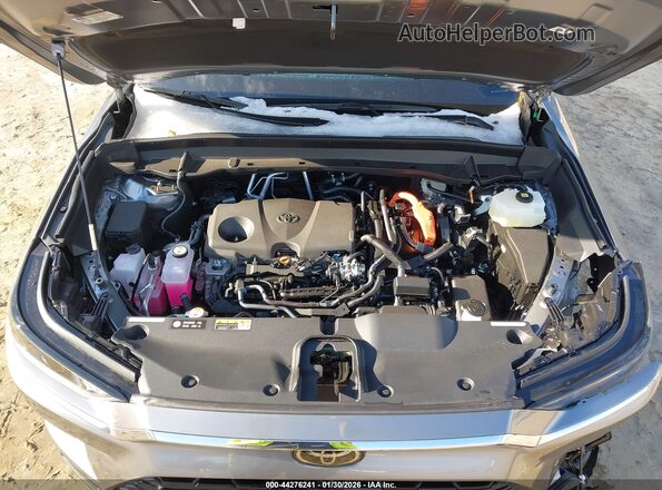 5TDACAB57TS075435 2026 TOYOTA LIMITED Серый Вид сзади