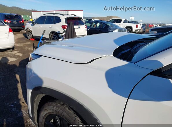 5TDACAB5XSS036904 2025 TOYOTA HIGHLANDER HYBRID White Vista frontal