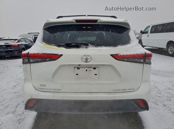 5TDDZRBH0LS024041 2020 TOYOTA LIMITED White Widok z tyłu