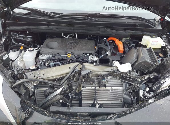 5TDESKFC4SS218651 2025 TOYOTA SIENNA Black Widok z tyłu