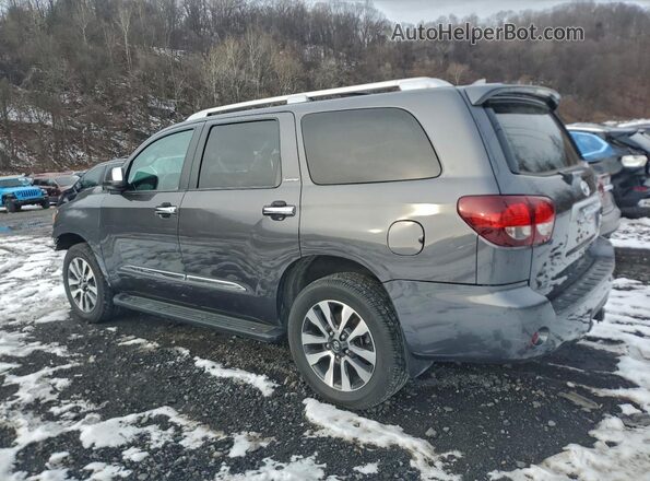 5TDFY5B18MS186637 2021 TOYOTA LIMITED Gray Հետևի ձախ