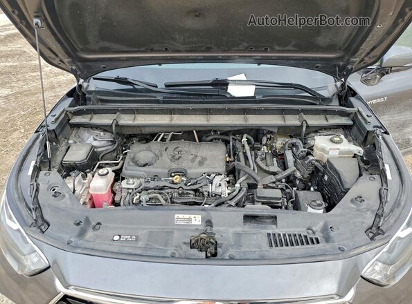 5TDYARAH0MS508531 2021 TOYOTA LIMITED Gray 
