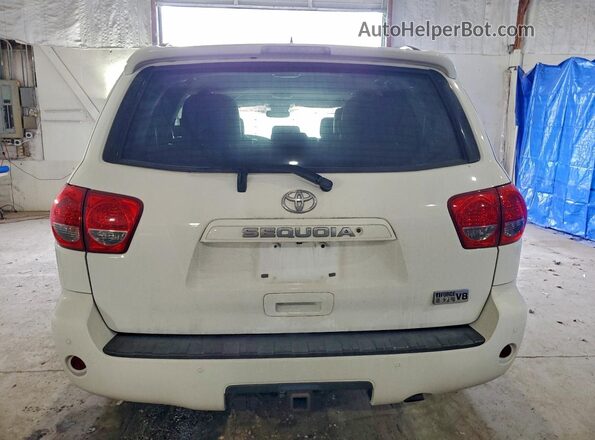 5TDZY5G19GS065478 2016 TOYOTA SEQUOIA Белый Вид сзади