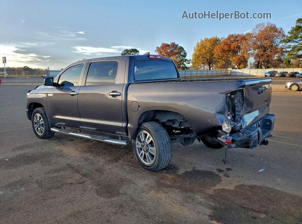 5TFAY5F11LX888375 2020 TOYOTA TUNDRA Gray უკანა მარცხენა