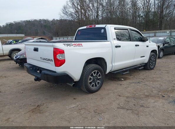 5TFDW5F15KX789169 2019 TOYOTA TUNDRA White უკანა მარჯვენა