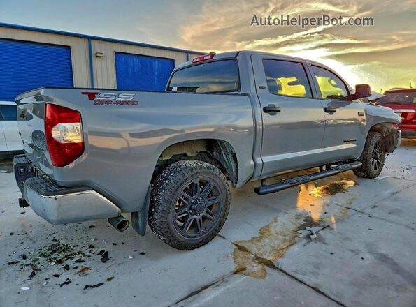 5TFDY5F14LX945262 2020 TOYOTA TUNDRA Gray უკანა მარჯვენა