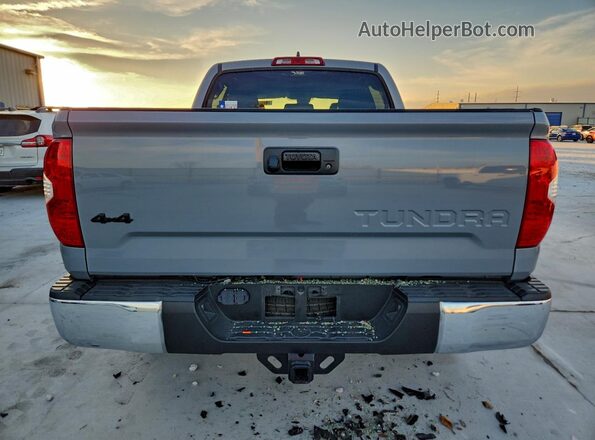 5TFDY5F14LX945262 2020 TOYOTA TUNDRA Gray უკანა ხედი