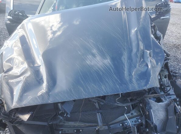 5TFJA5DB3SX334379 2025 TOYOTA LIMITED Gray Vista interior trasera