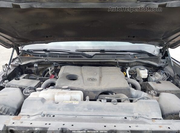 5TFJA5DB5NX003338 2022 TOYOTA LIMITED Brown უკანა ხედი