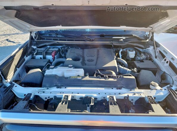 5TFJA5DB6RX204753 2024 TOYOTA LIMITED Белый Вид задней части салона