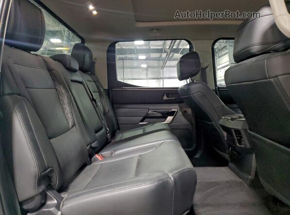 5TFJA5DB7RX156552 2024 TOYOTA LIMITED Зеленый Вид задних сидений
