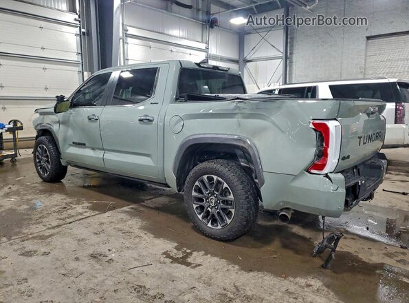 5TFJA5DB7RX156552 2024 TOYOTA LIMITED Зеленый Задняя левая четверть