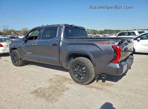 5TFJC5DB1PX036706 2023 TOYOTA LIMITED Silver Задня ліва чверть