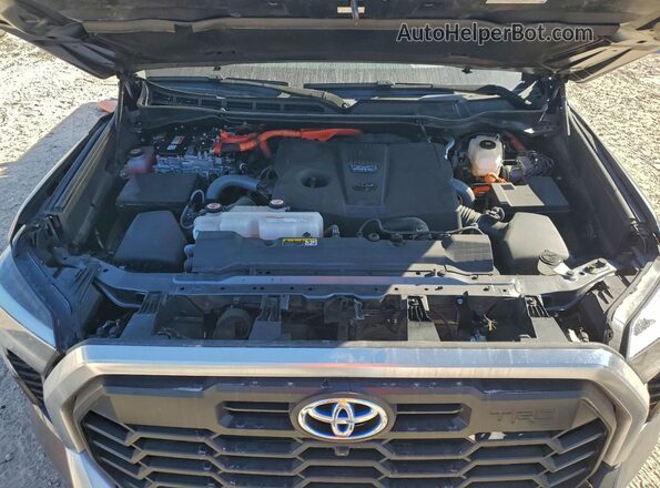 5TFJC5DB1PX036706 2023 TOYOTA LIMITED Silver Вид задньої частини салону