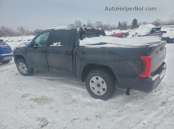 5TFKB5DB1SX310311 2025 TOYOTA TUNDRA Черный Задняя левая четверть