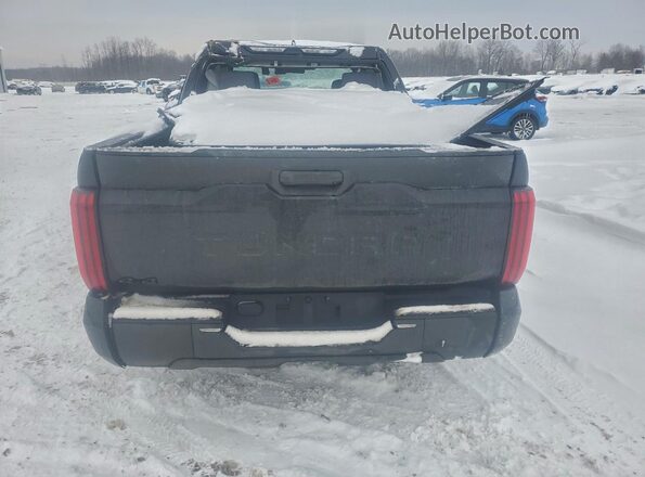 5TFKB5DB1SX310311 2025 TOYOTA TUNDRA Черный Вид сзади