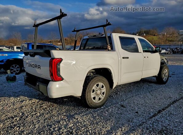 5TFKB5DB2PX114773 2023 TOYOTA TUNDRA White Tył prawy
