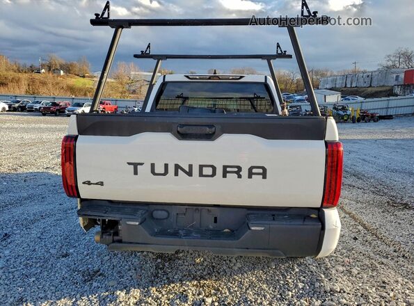 5TFKB5DB2PX114773 2023 TOYOTA TUNDRA White Widok z tyłu