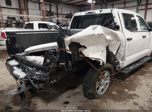 5TFKB5DB6PX115540 2023 TOYOTA TUNDRA White Vista frontal