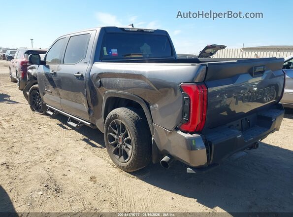 5TFLA5AB3SX048254 2025 TOYOTA TUNDRA Gray 