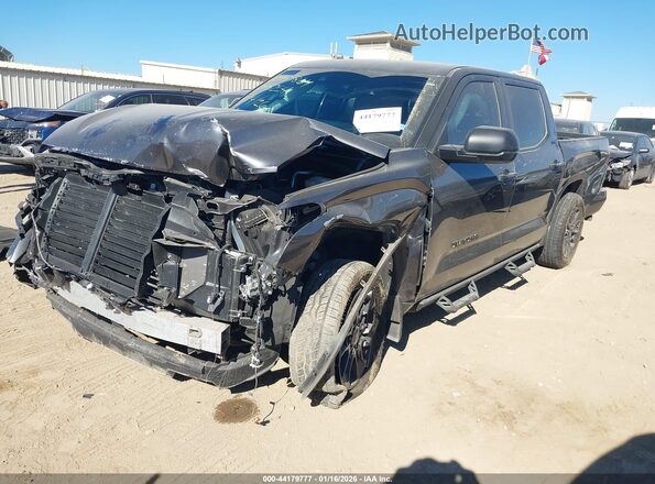 5TFLA5AB3SX048254 2025 TOYOTA TUNDRA Gray 