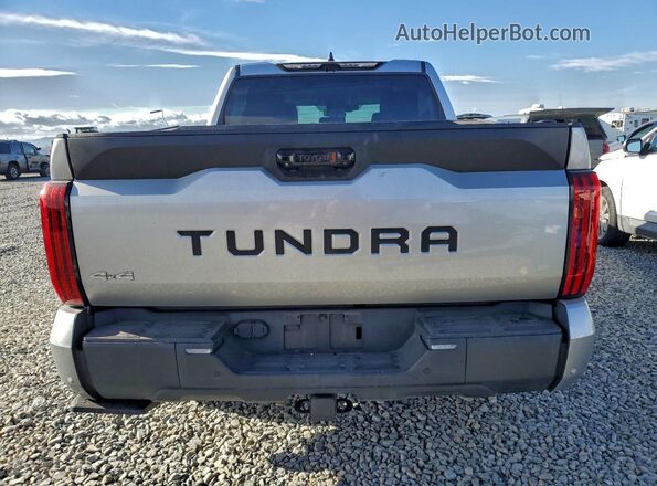 5TFLA5DB2RX133124 2024 TOYOTA TUNDRA Silver Вид ззаду