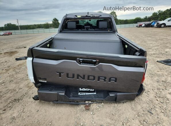 5TFLA5DB3PX065073 2023 TOYOTA TUNDRA Gray Rear view