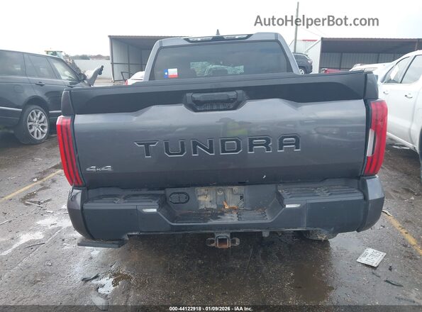 5TFLA5DB4RX132606 2024 TOYOTA TUNDRA Gray 