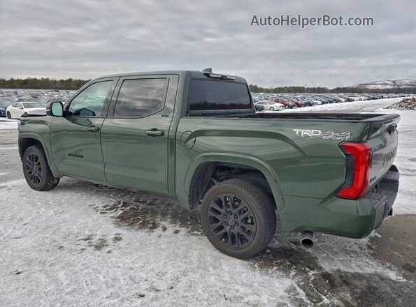 5TFLA5DB6PX060689 2023 TOYOTA TUNDRA Зеленый Задняя левая четверть