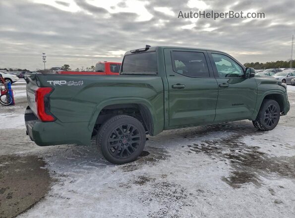 5TFLA5DB6PX060689 2023 TOYOTA TUNDRA Зеленый Задняя правая четверть