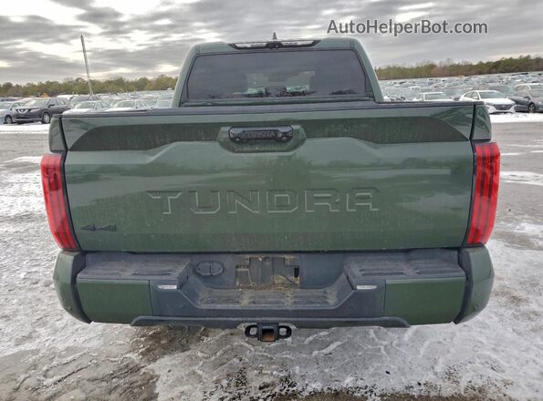 5TFLA5DB6PX060689 2023 TOYOTA TUNDRA Зеленый Вид сзади