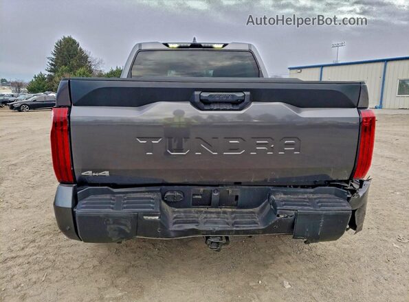 5TFLA5DB8SX266279 2025 TOYOTA TUNDRA Charcoal 