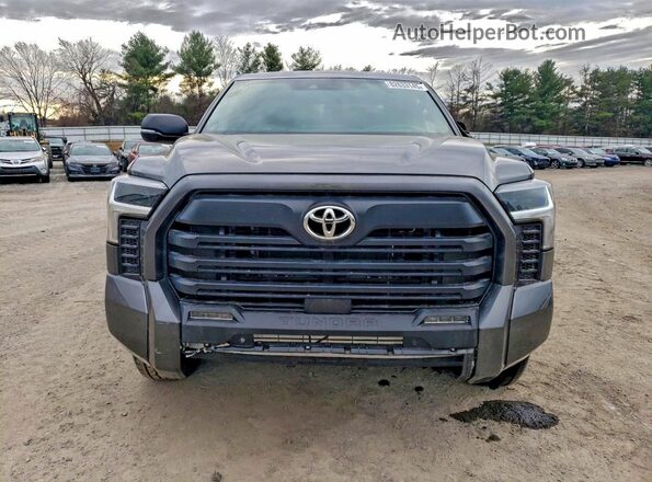 5TFLA5DB8SX266279 2025 TOYOTA TUNDRA Charcoal 
