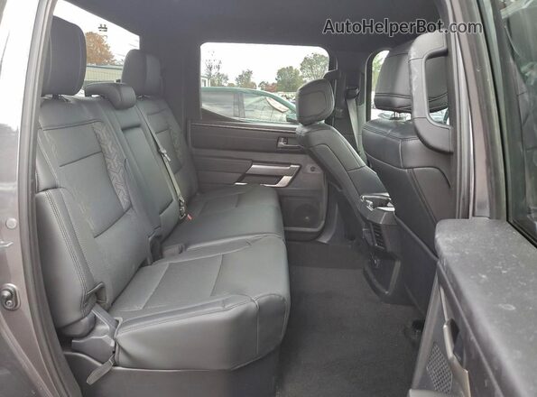 5TFLA5DB8SX266279 2025 TOYOTA TUNDRA Charcoal 