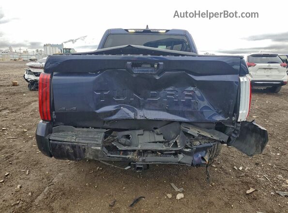 5TFLA5DB9NX041051 2022 TOYOTA TUNDRA Синий Вид сзади