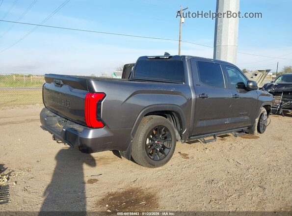 5TFLA5DBXRX205901 2024 TOYOTA TUNDRA Gray Tył prawy