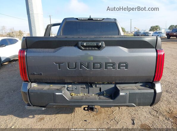 5TFLA5DBXRX205901 2024 TOYOTA TUNDRA Gray 