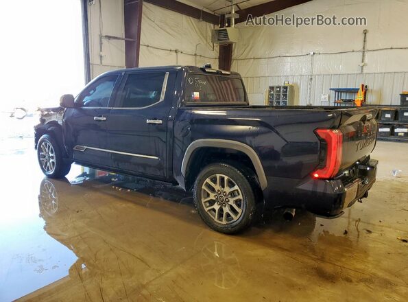 5TFMA5AB3RX032666 2024 TOYOTA TUNDRA Синий Задняя левая четверть