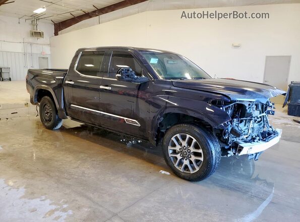5TFMA5AB3RX032666 2024 TOYOTA TUNDRA Синий Передняя правая четверть